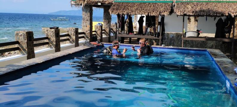 蓝带潜水度假酒店(Blue Ribbon Dive Resort)图片