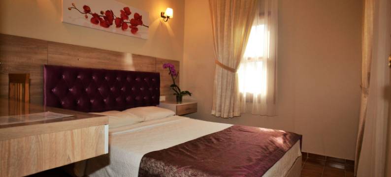 达利安康纳苏酒店(Hotel Konak Su)图片