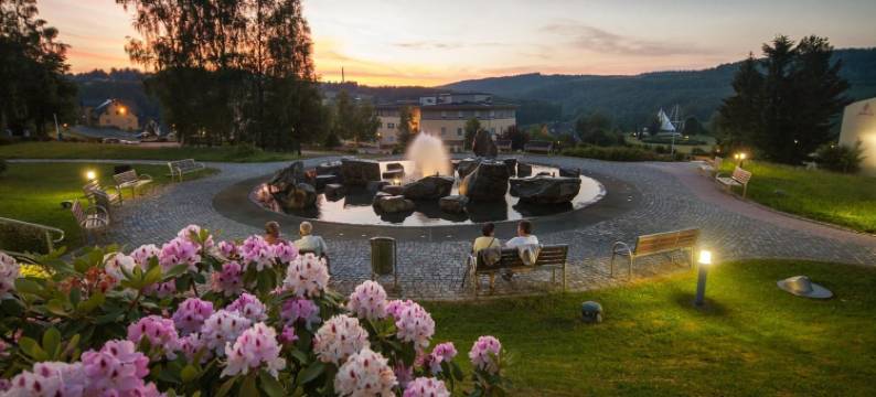 八德施乐马库尔酒店(Kurhotel Bad Schlema)图片