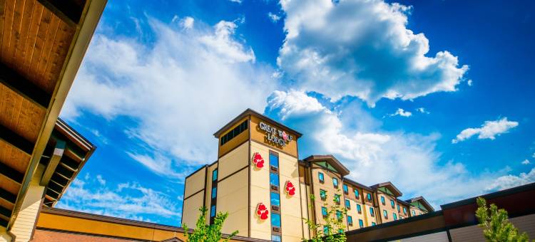 亚特兰大拉格兰奇大狼小屋(Great Wolf Lodge Atlanta / LaGrange, GA)图片