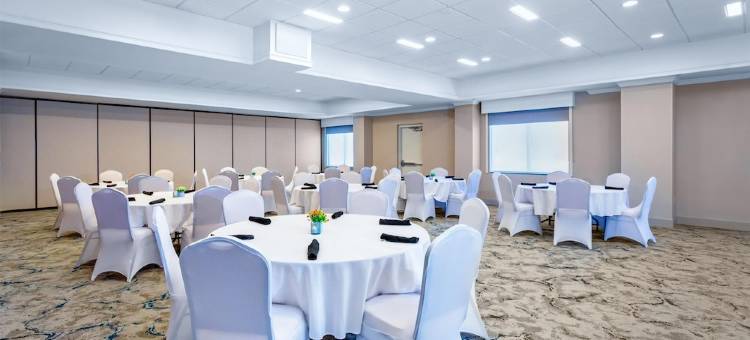坦帕西北奥尔兹马希尔顿花园酒店(Hilton Garden Inn Tampa Northwest/Oldsmar)图片