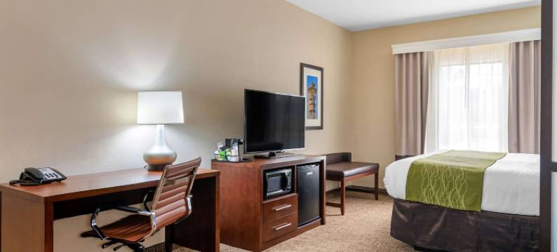 舒适套房酒店(Comfort Inn & Suites)图片