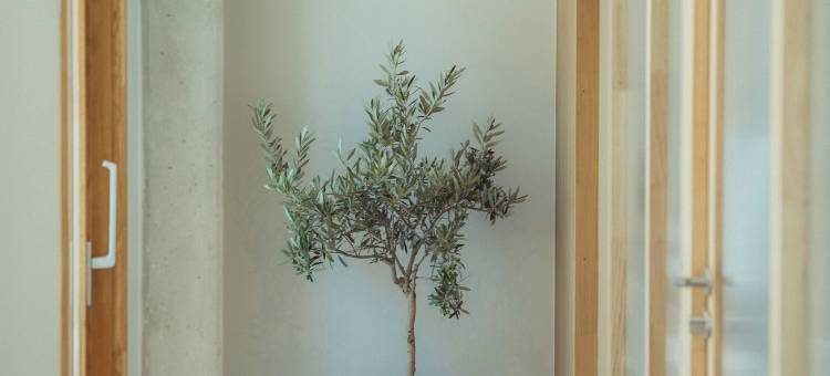 La Maison Gaïa酒店和Spa(La Maison Gaïa Hôtel & Spa)图片