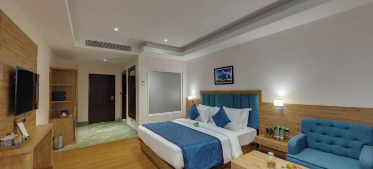 克拉丽奥德雷内斯岗托克酒店(距离MG玛格5公里)(Clarion Hotel de Renees Gangtok ( 5km from MG Marg))图片