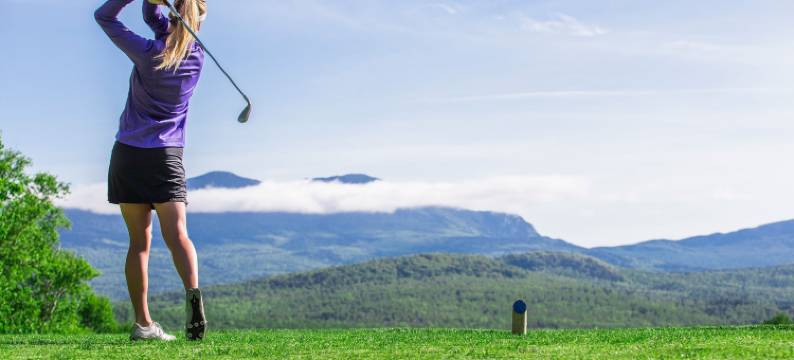 舒格洛夫山酒店(Sugarloaf Mountain Hotel)图片