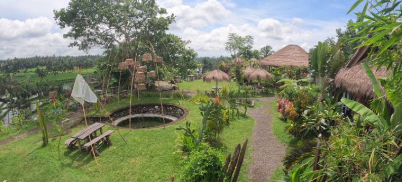 阿兰卡天帕桑(Aranka Tempasan)图片