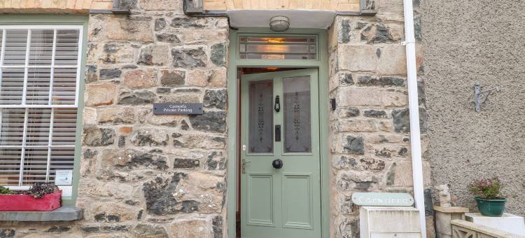 卡诺法(Carnorfa)图片