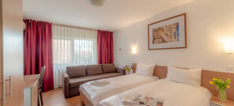 克鲁吉膳宿旅馆(Pension Cluj)图片