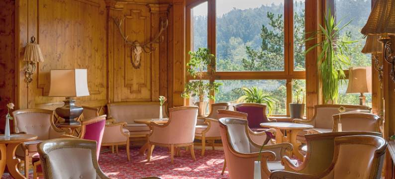 蒙施瓦德林酒店(Ringhotel Mönch`s Waldhotel)图片