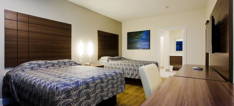 盖斯纳布鲁US-59宫殿旅馆(Palace Inn Blue US-59 & Gessner)图片