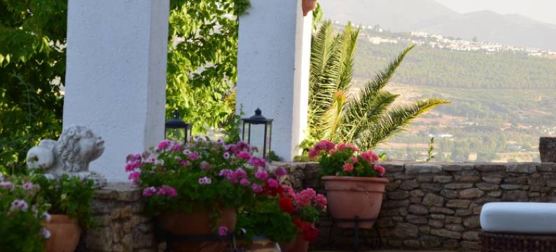 卡萨阿尔塔酒店(Villa Casa Alta)图片