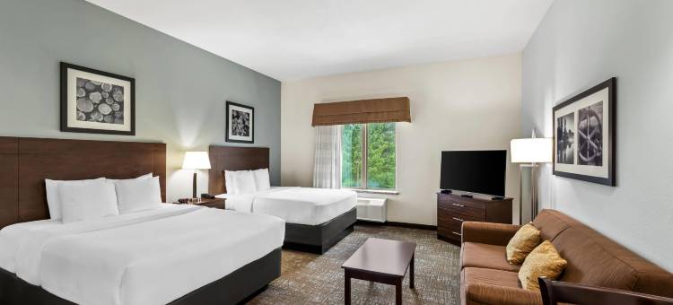 拉夫金美茵斯坦套房酒店(MainStay Suites Lufkin)图片