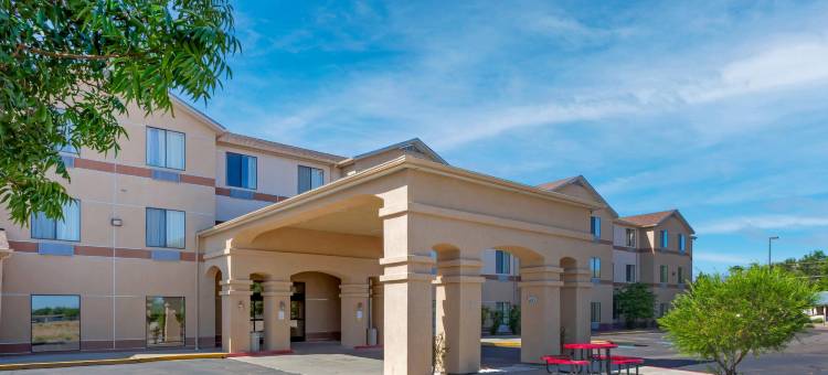 索科罗舒适套房酒店(Comfort Inn & Suites)图片