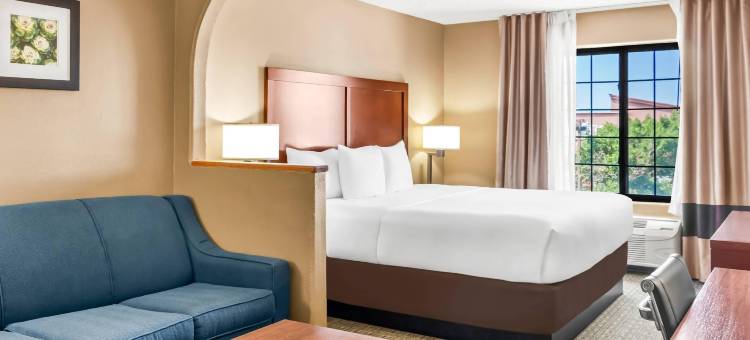 舒适酒店(Comfort Inn)图片