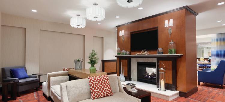 福尔斯彻奇希尔顿花园酒店(Hilton Garden Inn Falls Church)图片