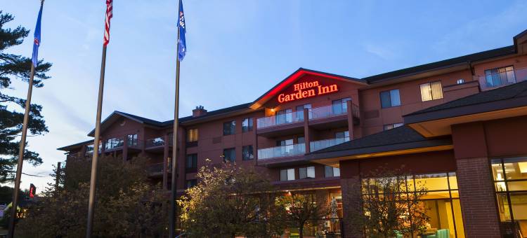 威斯康辛戴尔斯希尔顿花园酒店(Hilton Garden Inn Wisconsin Dells)图片