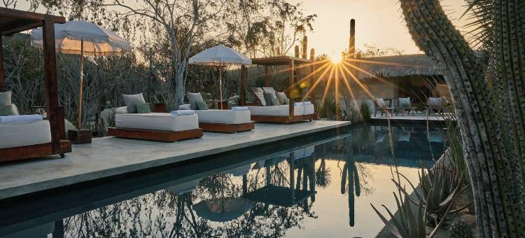 埃尔佩尔迪多沙漠之梦 - 限成人(El Perdido Desert Dream)图片