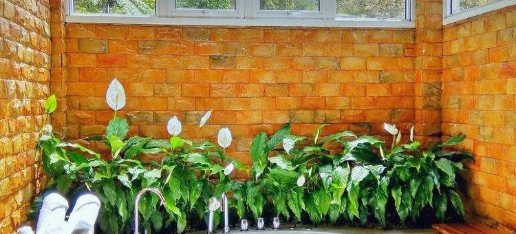 京那巴鲁公园舒特拉保护区旅馆(Sutera Sanctuary Lodges at Kinabalu Park)图片