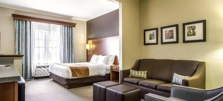 会议中心及舒适套房酒店(Comfort Suites Hotel and Conference Center)图片