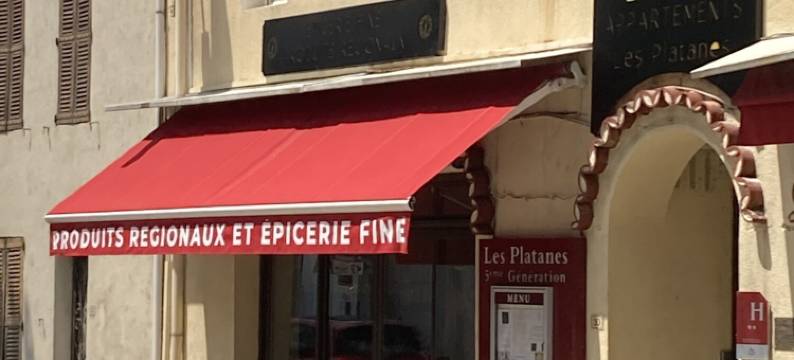 梧桐酒店和公寓(Hôtel et Appartements les Platanes)图片