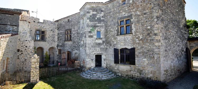 Castle near Agen with Shared Pool图片