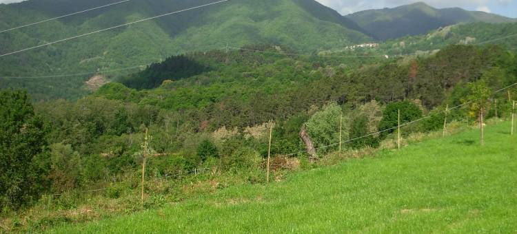 Holiday Home in Mulazzo near Tuscan Castles图片