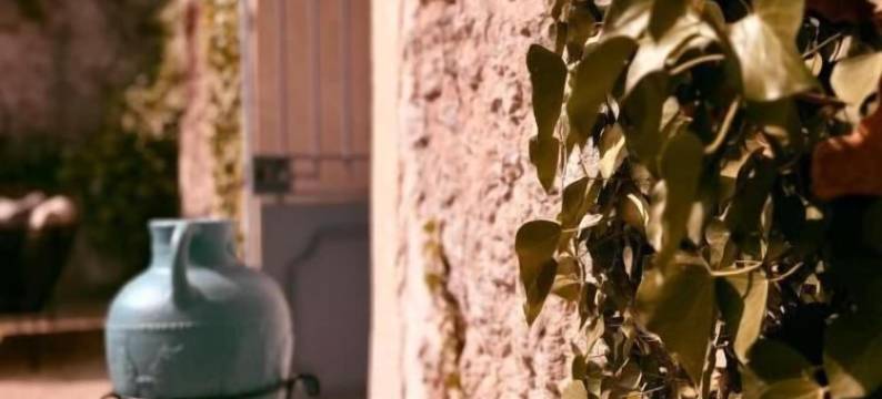 蓝色庭院(Gîte Le Patio Bleu)图片