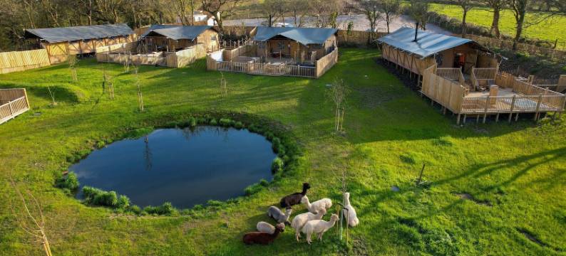 丛林书萨法利帐篷(Jungle Book Safari Tent)图片