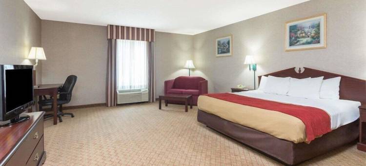 豪华酒店(Lux Hotel)图片