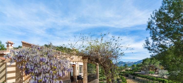 Tranquil Villa Stay, Murla图片