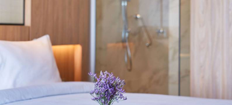 利马米拉洛雷斯铂尔曼酒店(Pullman Lima Miraflores)图片