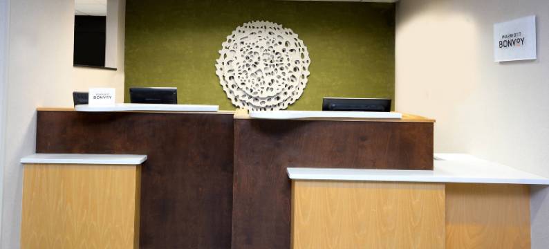 夏律第镇北部万枫酒店及套房(Fairfield Inn & Suites Charlottesville North)图片