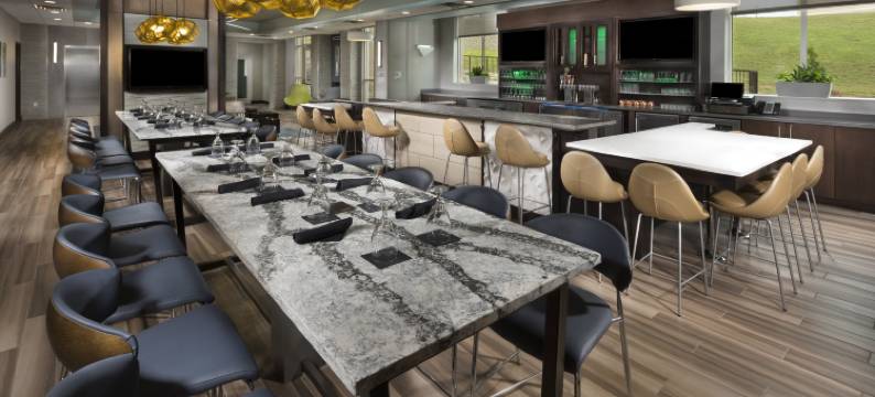 洲际假日酒店及套房，阿登 - 阿什维尔机场(Holiday Inn & Suites ARDEN - ASHEVILLE AIRPORT by IHG)图片