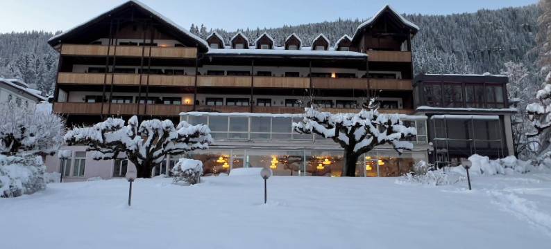 比滕贝格度假村及水疗中心(Beatenberg Resort & Spa in Beatenberg Interlaken)图片