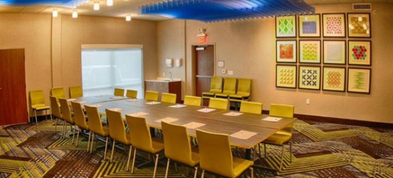 底特律北罗斯维尔智选假日套房酒店(Holiday Inn Express & Suites DETROIT NORTH - ROSEVILLE by IHG)图片