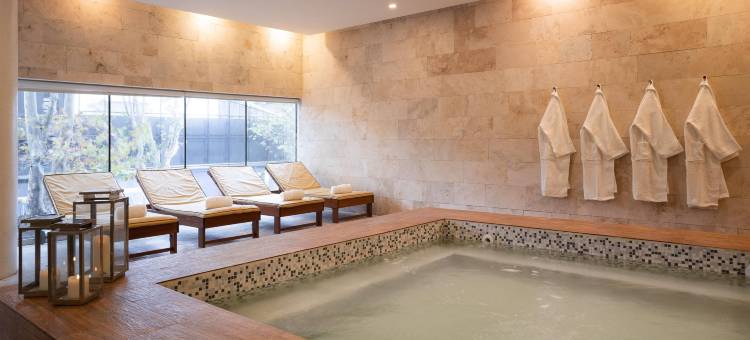 Dazzler by Wyndham Montevideo图片