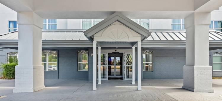 Spark by Hilton Sumter图片