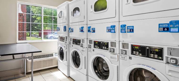 北罗利美茵斯坦套房酒店(MainStay Suites Raleigh North)图片