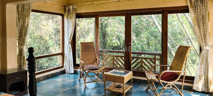 交谈树(Talking Trees)图片