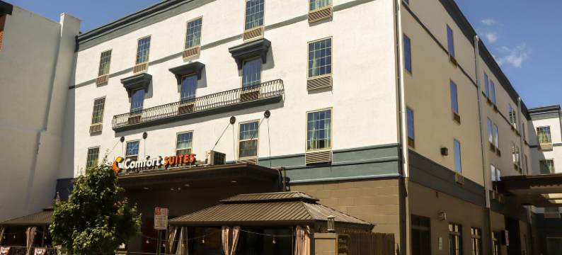 卡莱尔市中心舒适套房酒店(Comfort Suites Downtown Carlisle)图片