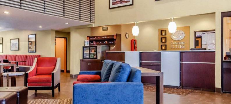 路易斯维尔东舒适套房酒店(Comfort Suites Louisville East)图片
