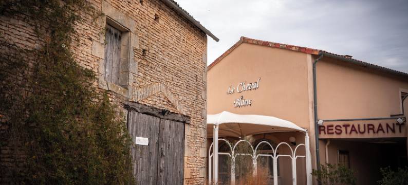 国际之家白马与克洛维酒店(Logis Hôtels & Restaurant le Cheval Blanc et Clovis)图片