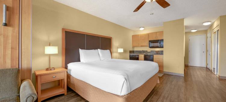 贝斯特韦斯特优质海景度假村(Best Western Plus Ocean View Resort)图片