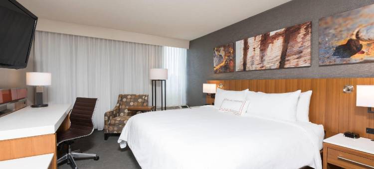 索内斯塔大急流城机场酒店(Sonesta Hotel Grand Rapids Airport)图片