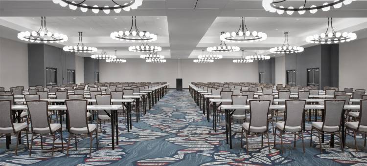 伯明翰胡佛希尔顿安泊酒店(Embassy Suites by Hilton Birmingham Hoover)图片