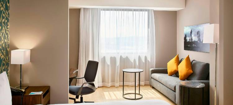 阿瓜斯卡连特斯万枫酒店及套房(Fairfield Inn & Suites Aguascalientes)图片
