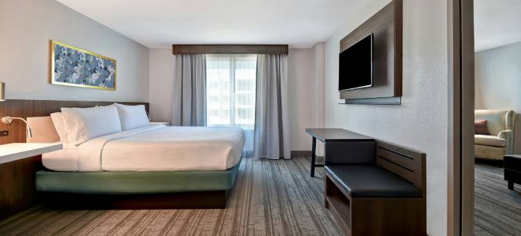休斯顿加勒里亚区希尔顿花园酒店(Hilton Garden Inn Houston/Galleria Area)图片
