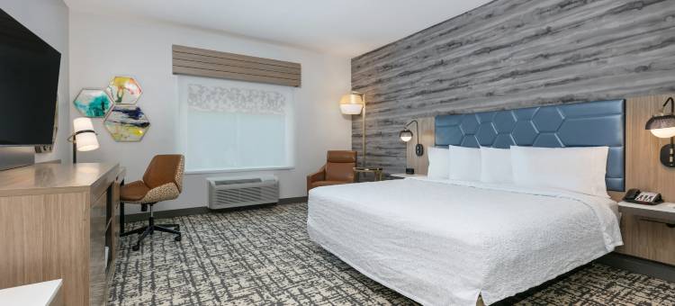 谢南多厄伍德兰希尔顿欢朋酒店(Hampton Inn & Suites by Hilton Shenandoah the Woodlands)图片