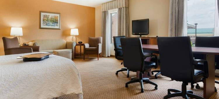 底特律-切斯特菲尔德乡村希尔顿欢朋酒店及套房(Hampton Inn & Suites Detroit/Chesterfield Township)图片