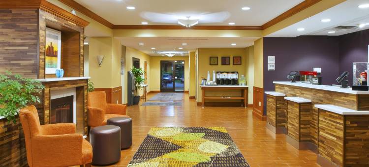 希尔顿欢朋酒店-底特律诺维(Hampton Inn by Hilton Commerce Novi)图片